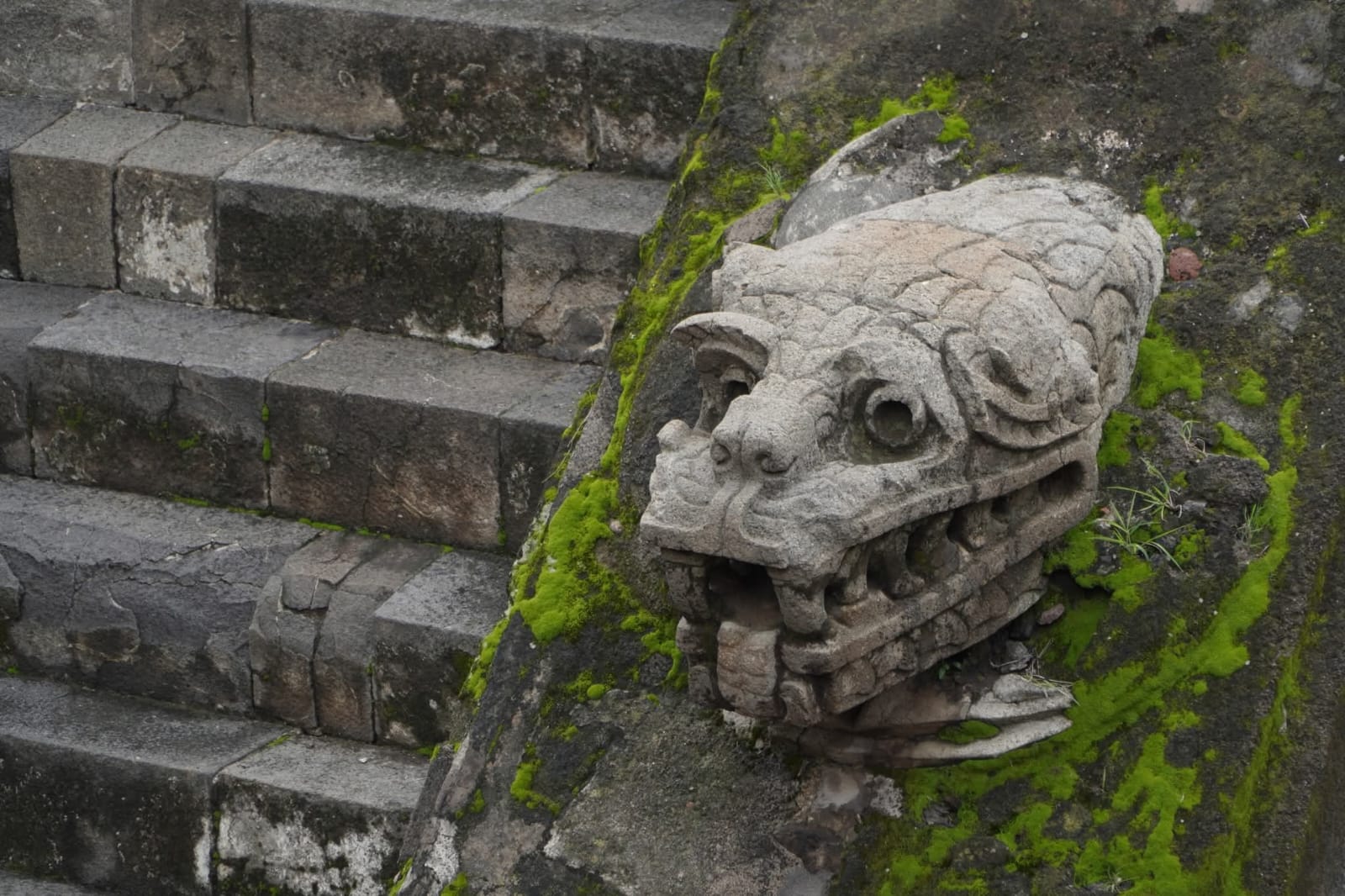 Campamento: Teotihuacan
