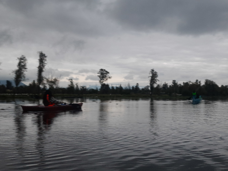 Campamento:LasCascadas