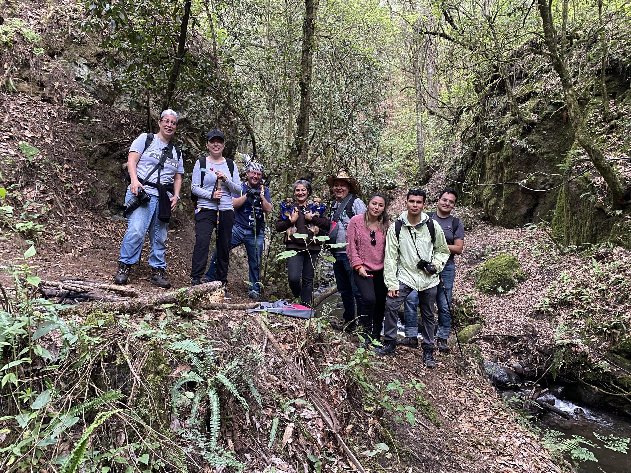 Curso: Astrofotografía